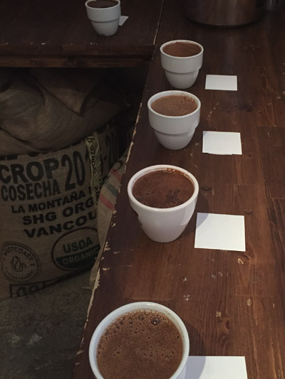Roots_Vines_Inside_400_Cupping_Session